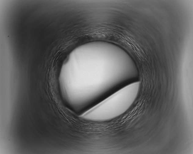 X0000097991297200803241013