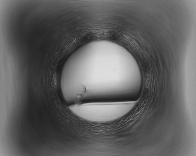 X0000097991298200803241013