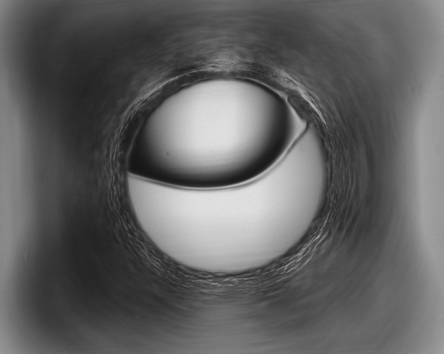 X0000097991304200803241013