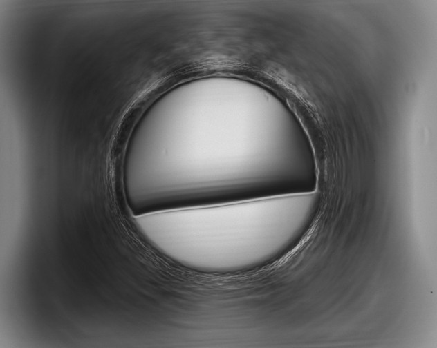 X0000097991309200803241013