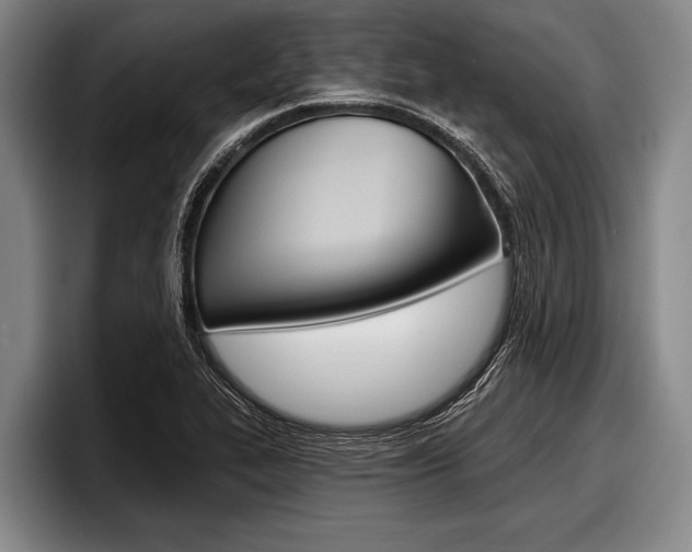 X0000097991319200803241014