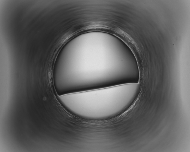 X0000097991321200803241014