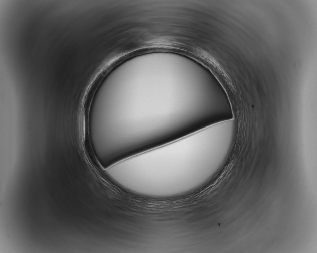 X0000097991323200803241014