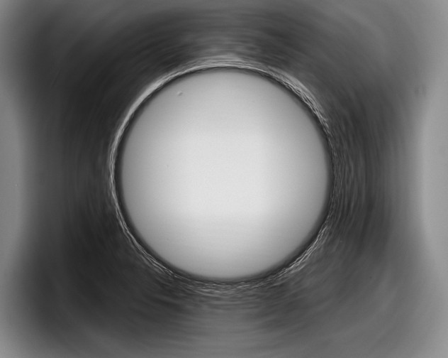 X0000097991326200803241014