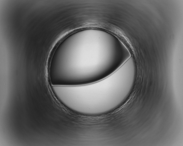 X0000097991328200803241014