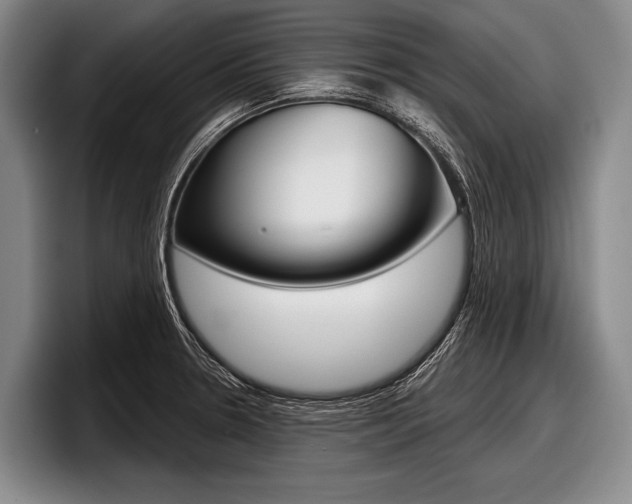 X0000097991330200803241014