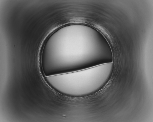 X0000097991331200803241014