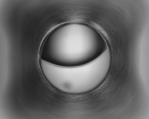 X0000097991332200803241014