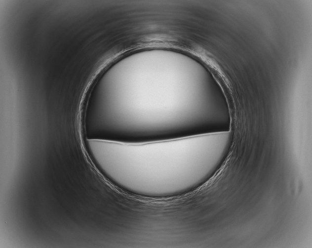 X0000097991333200803241014