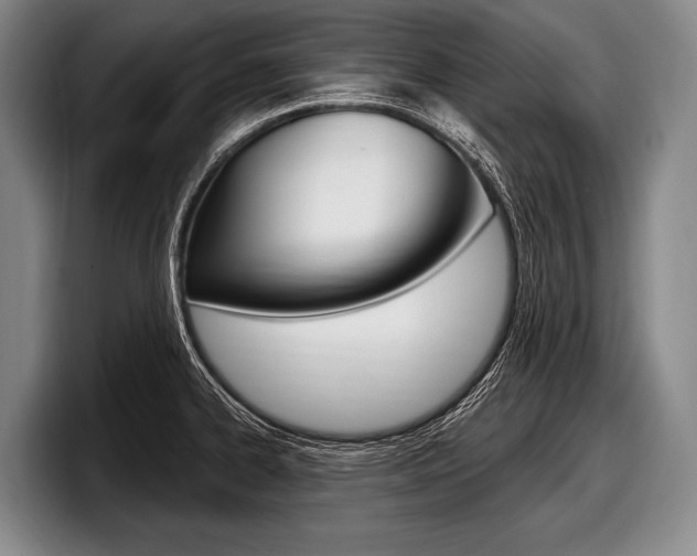 X0000097991334200803241014