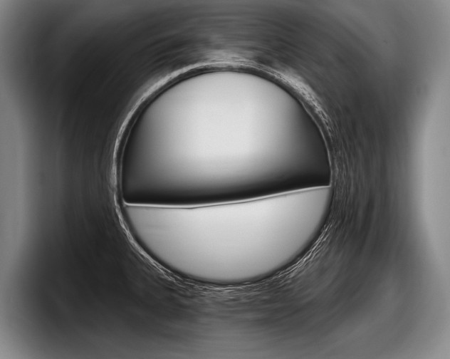 X0000097991335200803241014