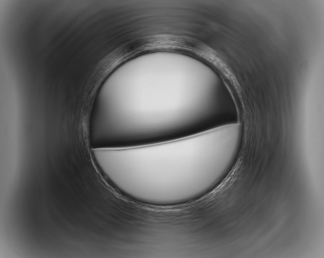 X0000097991337200803241014