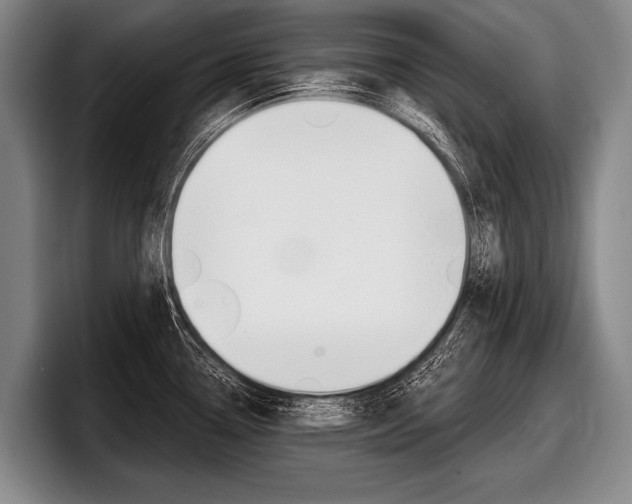X0000097991338200803241014
