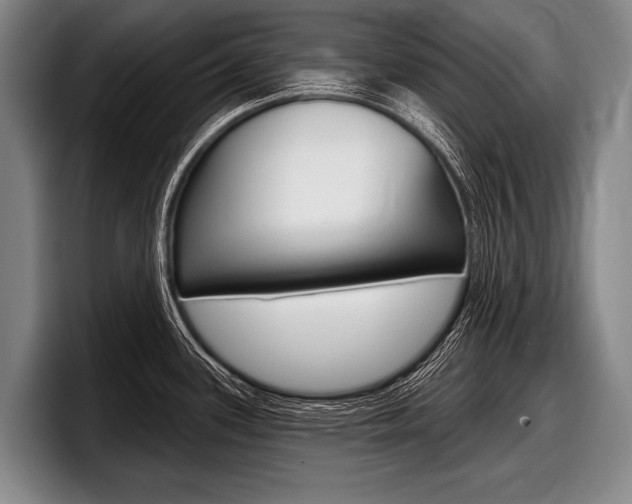 X0000097991339200803241014