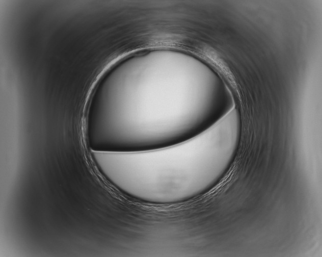 X0000097991340200803241014