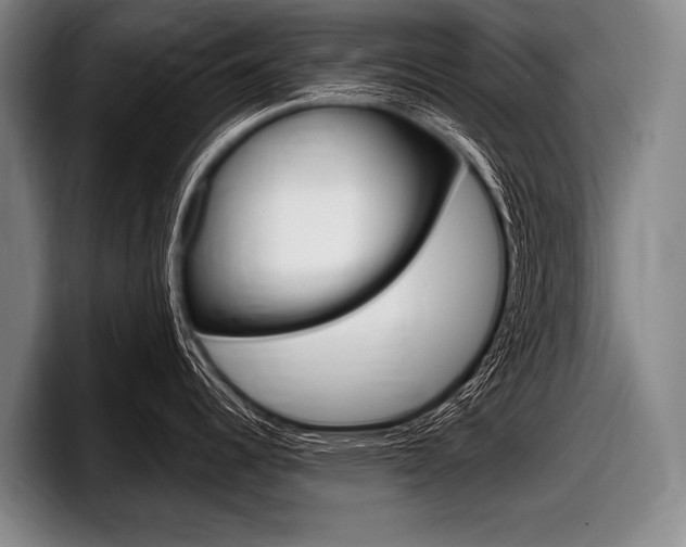 X0000097991344200803241014