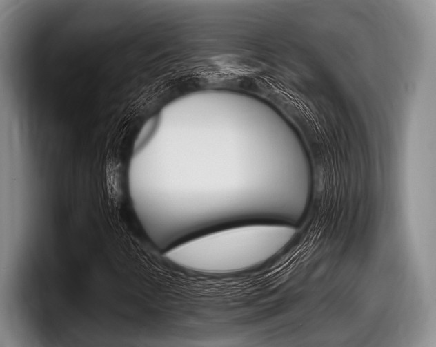 X0000097991346200803241013