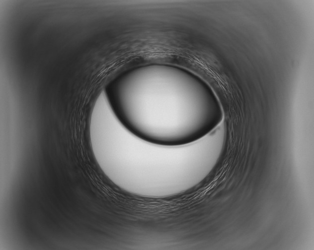 X0000097991348200803241013