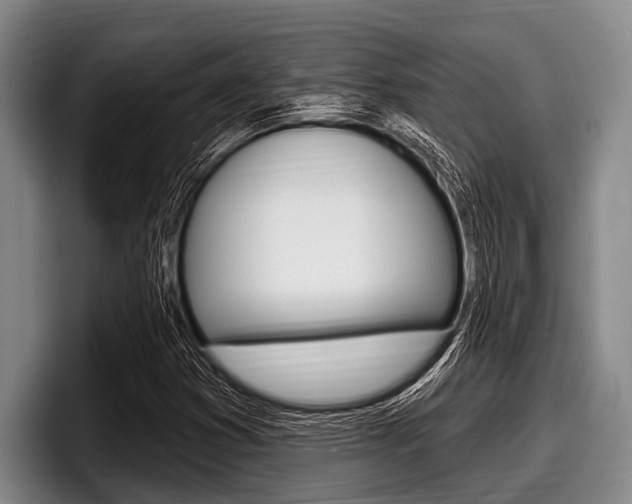 X0000097991353200803241013