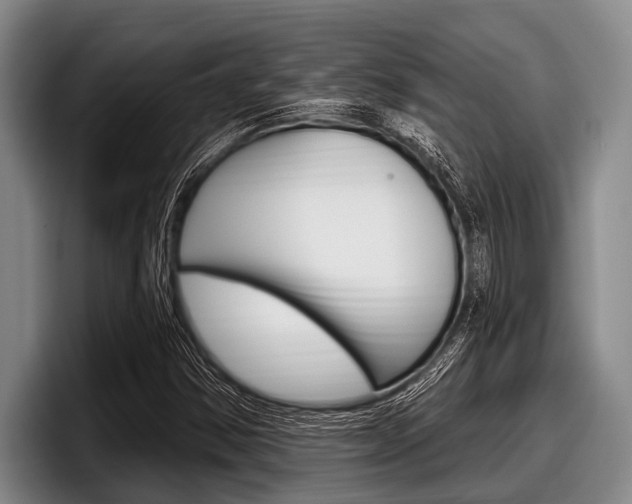 X0000097991354200803241013