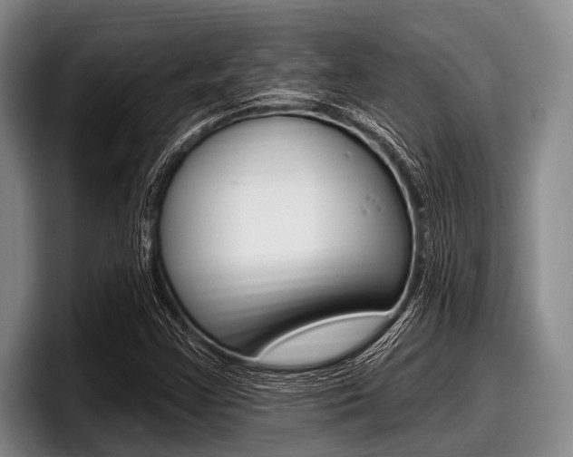 X0000097991355200803241013
