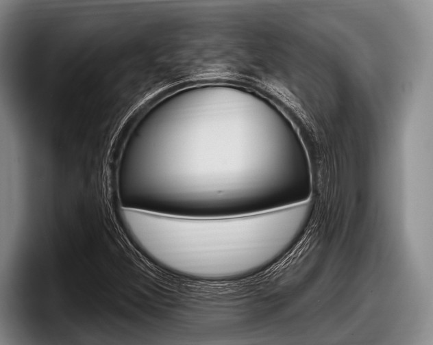 X0000097991356200803241013