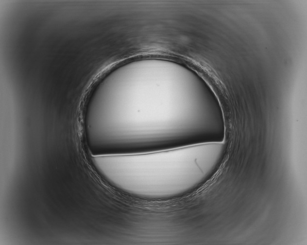X0000097991363200803241013