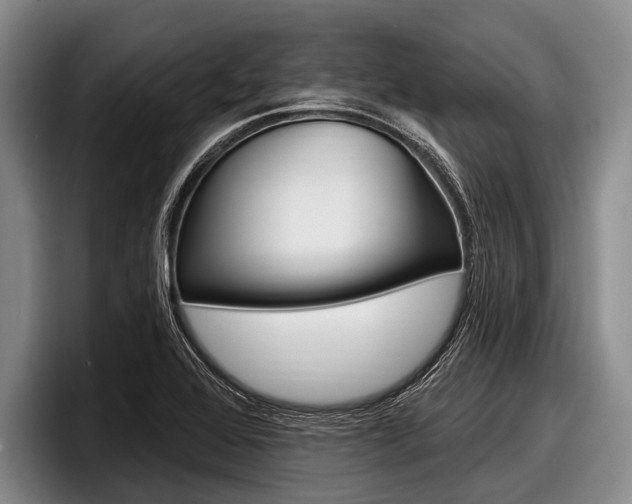 X0000097991368200803241013