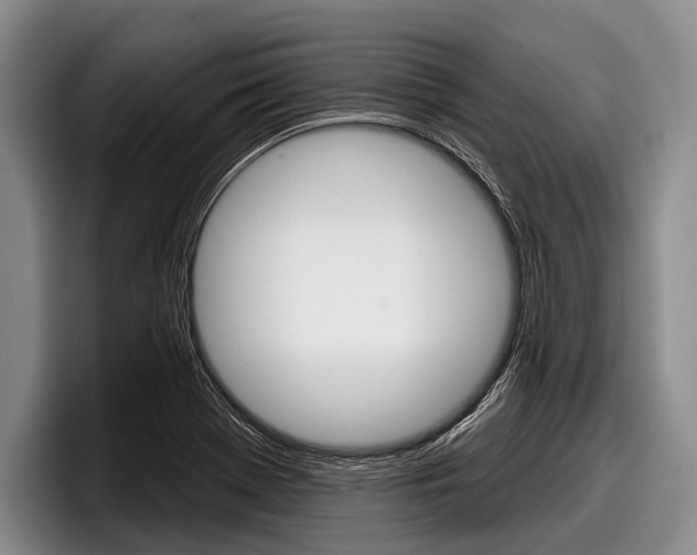 X0000097991369200803241013