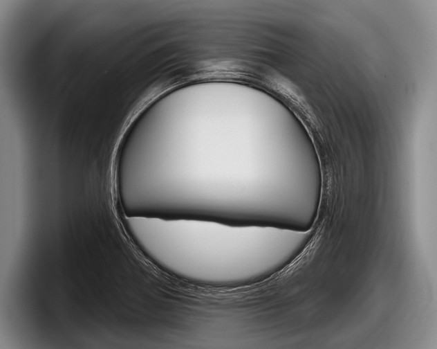 X0000097991370200803241013