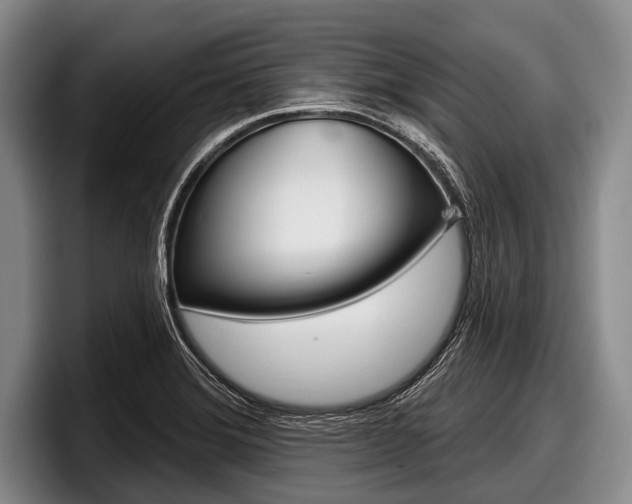 X0000097991372200803241013