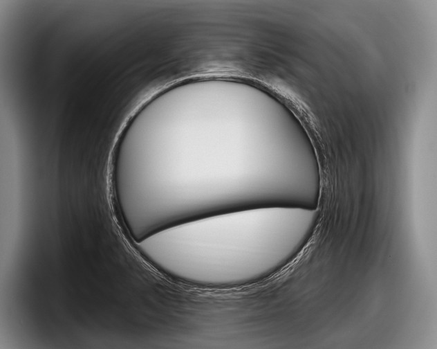 X0000097991374200803241013