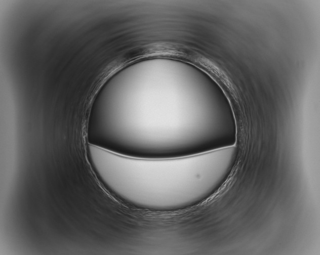 X0000097991377200803241013