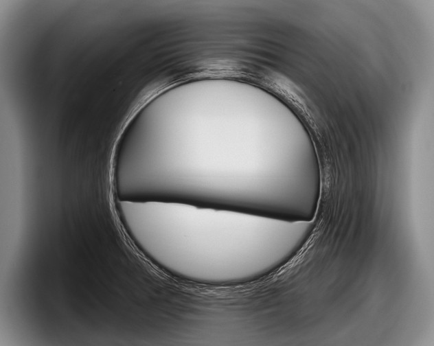 X0000097991378200803241013