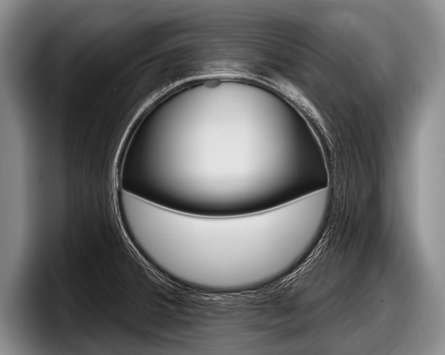 X0000097991380200803241013