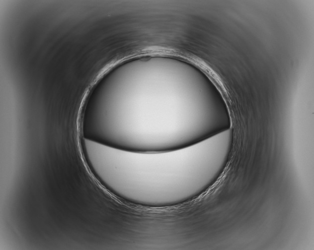 X0000097991381200803241013