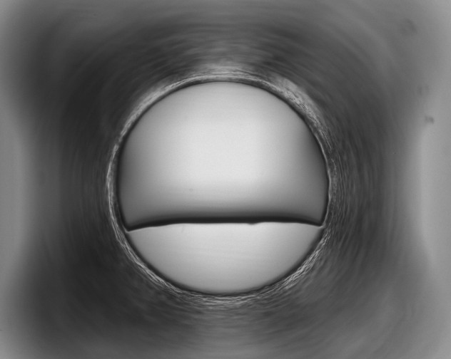 X0000097991382200803241013