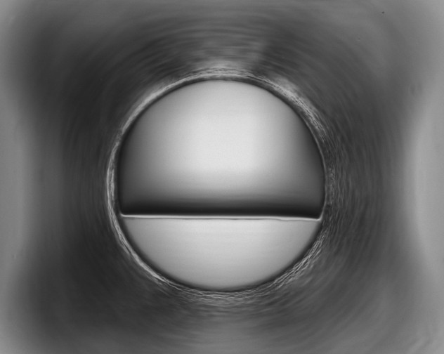 X0000097991383200803241013