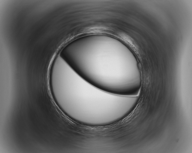 X0000097991384200803241013