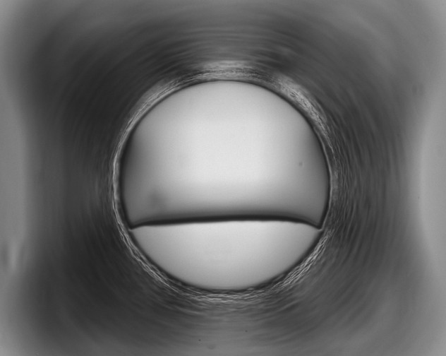 X0000097991386200803241013