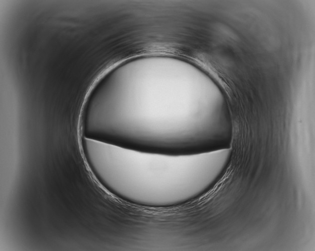 X0000097991387200803241013