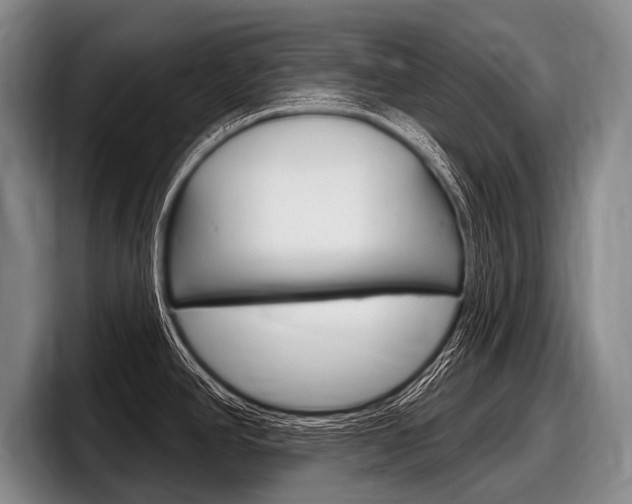 X0000097991390200803241013