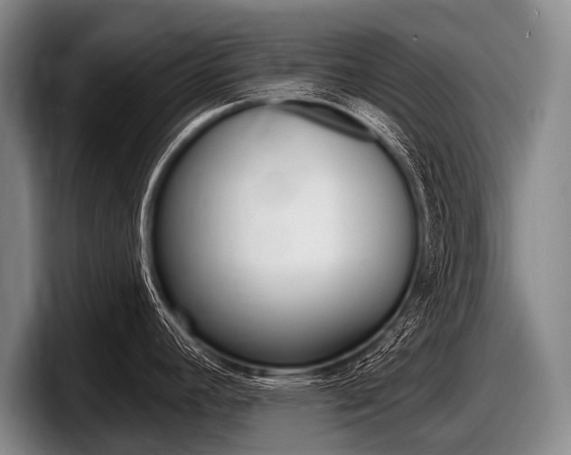 X0000097991392200803241013