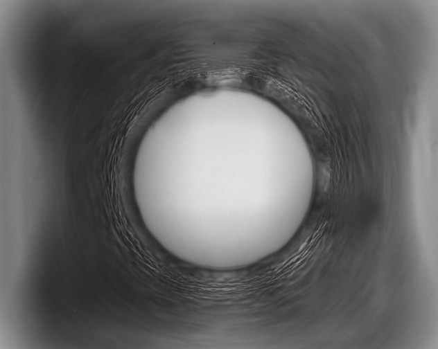 X0000097991393200803241012