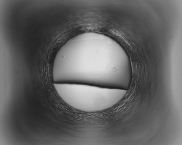 X0000097991399200803241012