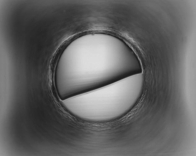 X0000097991408200803241012