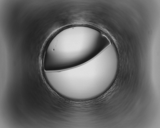 X0000097991416200803241012