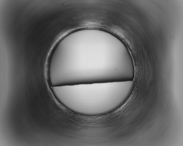 X0000097991421200803241012
