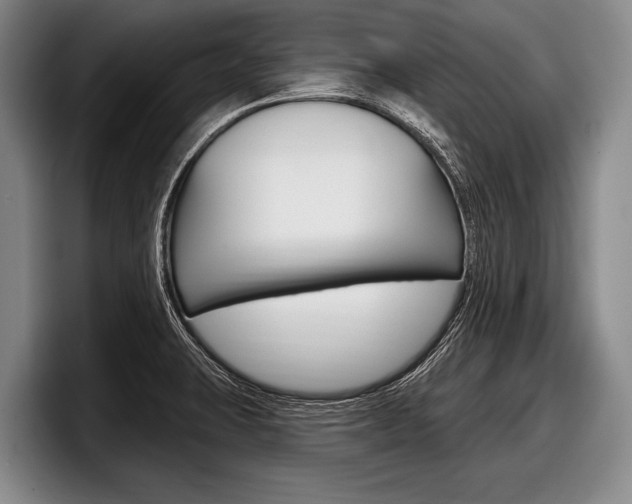 X0000097991423200803241012