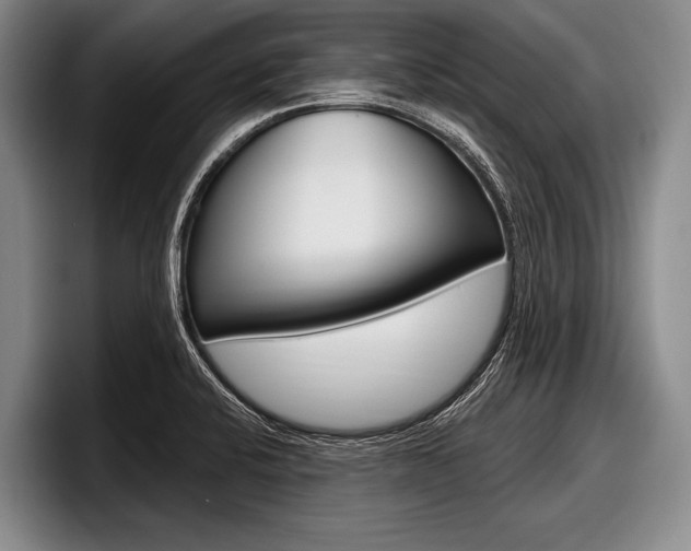 X0000097991424200803241012